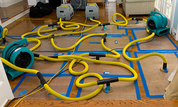 Professional Water Extraction technician working in Mona, UT